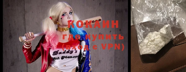 соль ск Дмитриев