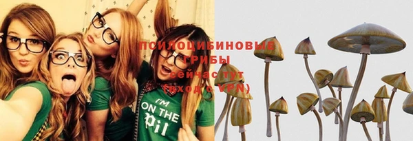 соль ск Дмитриев
