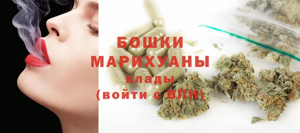 соль ск Дмитриев