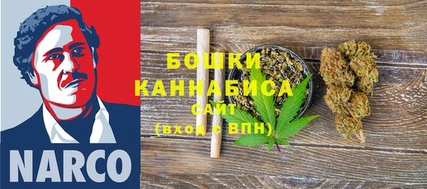 соль ск Дмитриев