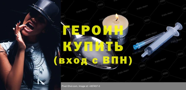 соль ск Дмитриев