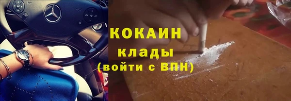 соль ск Дмитриев