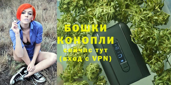 соль ск Дмитриев