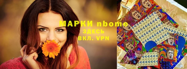 скорость Гусев