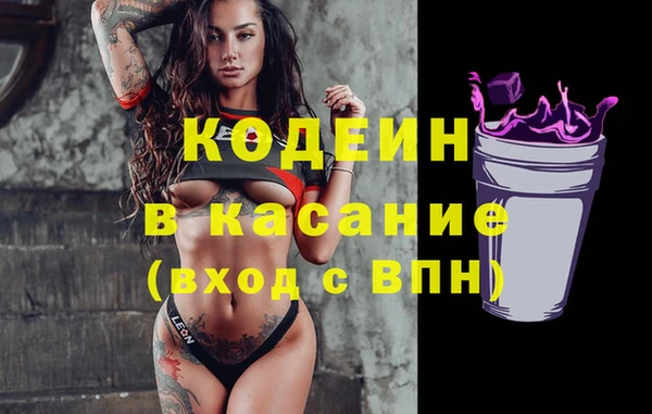 соль ск Дмитриев