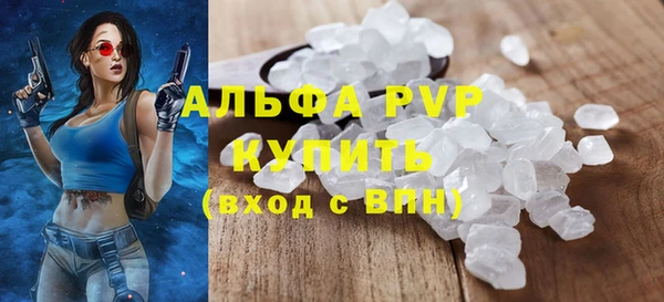 соль ск Дмитриев