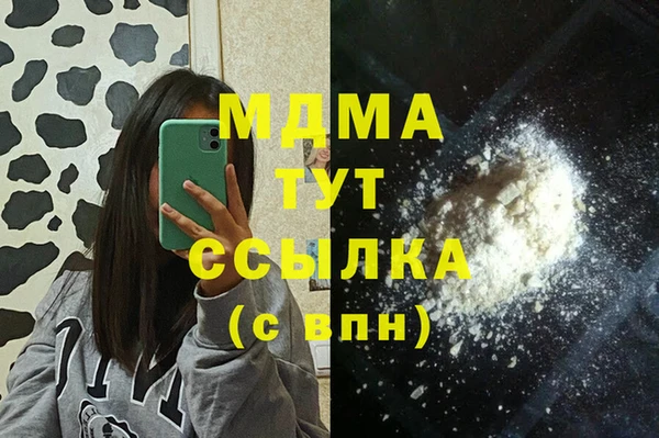 соль ск Дмитриев