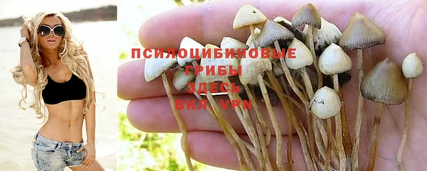 синтетический гашиш Гусиноозёрск