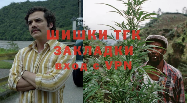 соль ск Дмитриев