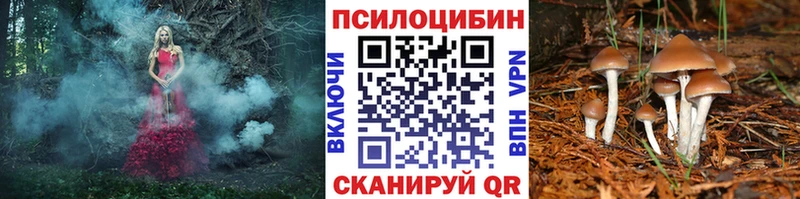 Галлюциногенные грибы мухоморы  Купить закладки  Красновишерск 